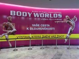 9.A,B,C- exkurze BODY WORLDS