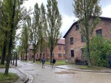 Obrázek v galerii
