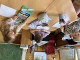 Obrázek v galerii