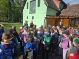 Obrázek v galerii