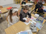 Obrázek v galerii