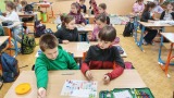 Obrázek v galerii