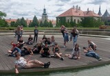 Obrázek v galerii