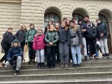 Obrázek v galerii