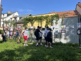 Obrázek v galerii